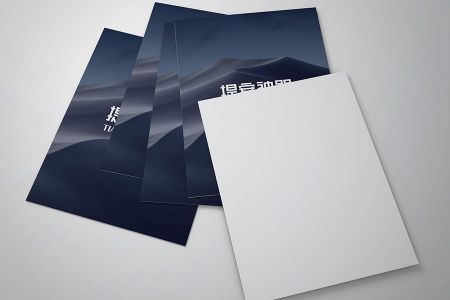 高清简约深色画册基本样机素材