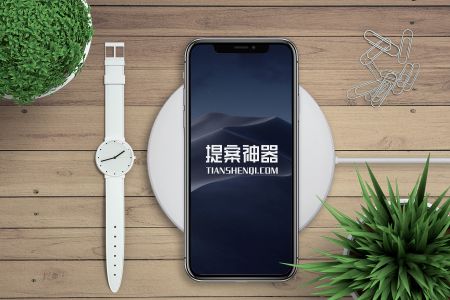高清清新风绿植手表iPhoneX组合样机素材