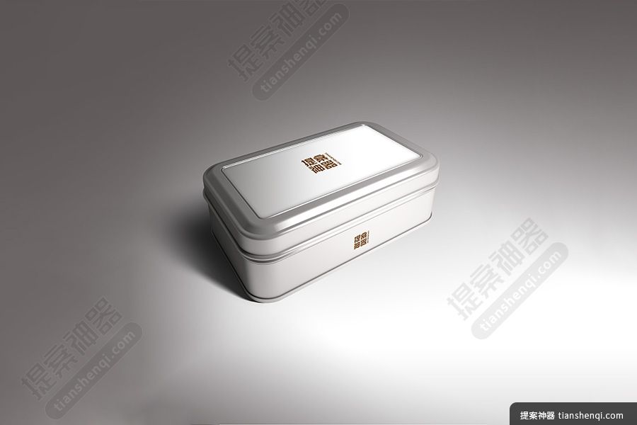 高清灰底单个方形立体罐头包装样机素材