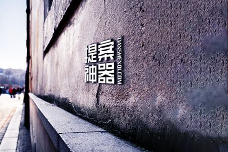 墙壁砖金属简约logo样机素材