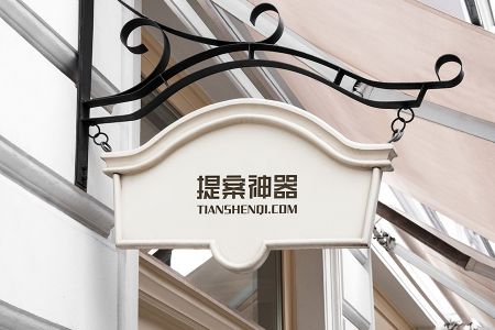 欧式宫廷风纯白墙壁店头悬挂高清不规则形不锈钢牌logo场景样机素材