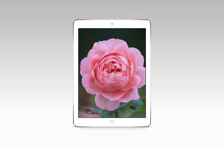 灰色背景一台立式iPad屏幕展示可切换样机贴图素材